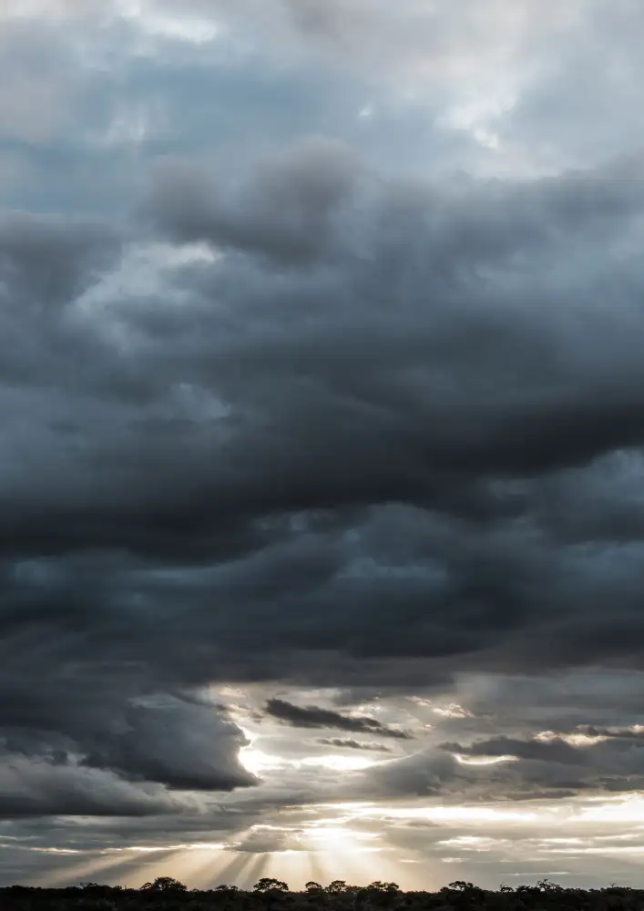 Clint, by Shot: African Skies