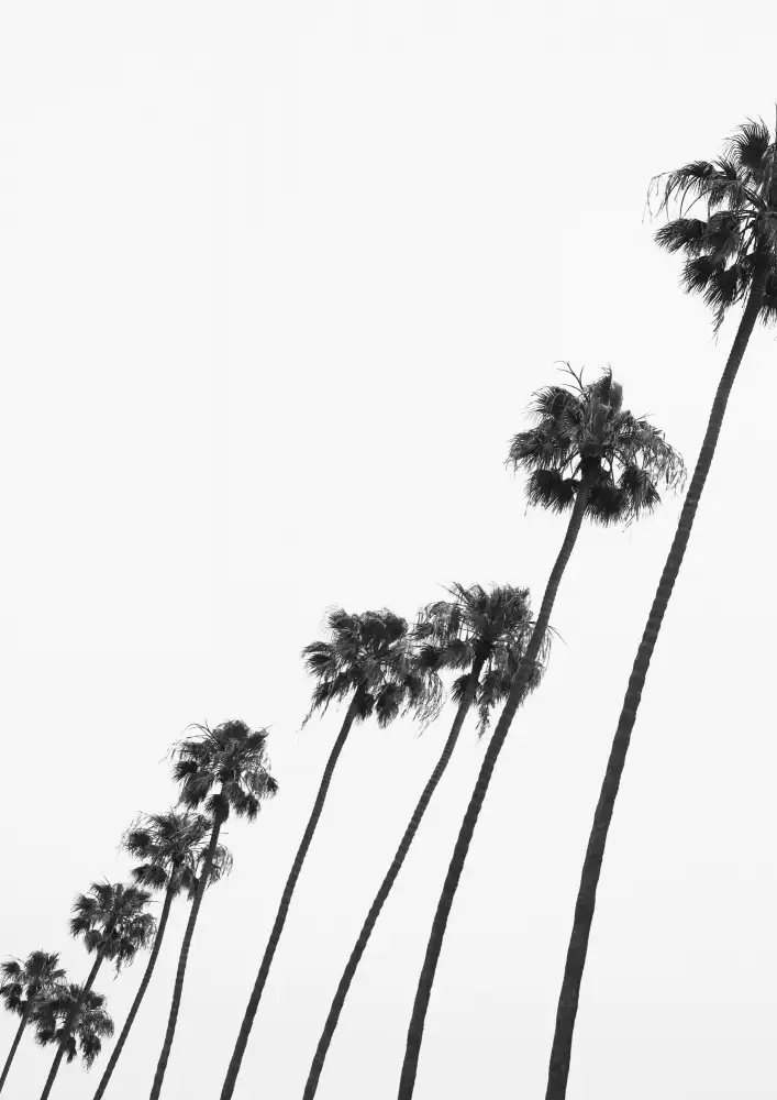 Clint, by Shot: Cali Cathedrals 04