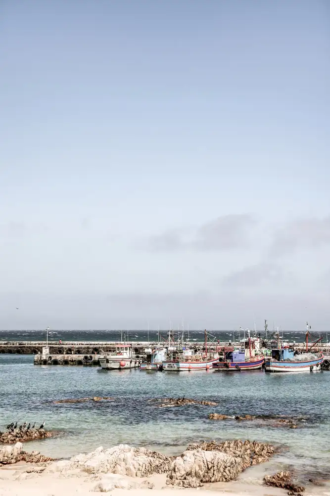 Clint, by Shot: Kalk Bay