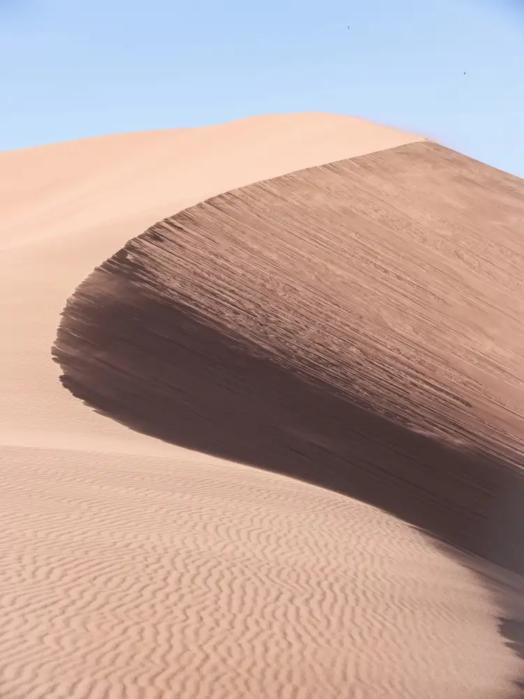 Clint, by Shot: Namib Trois