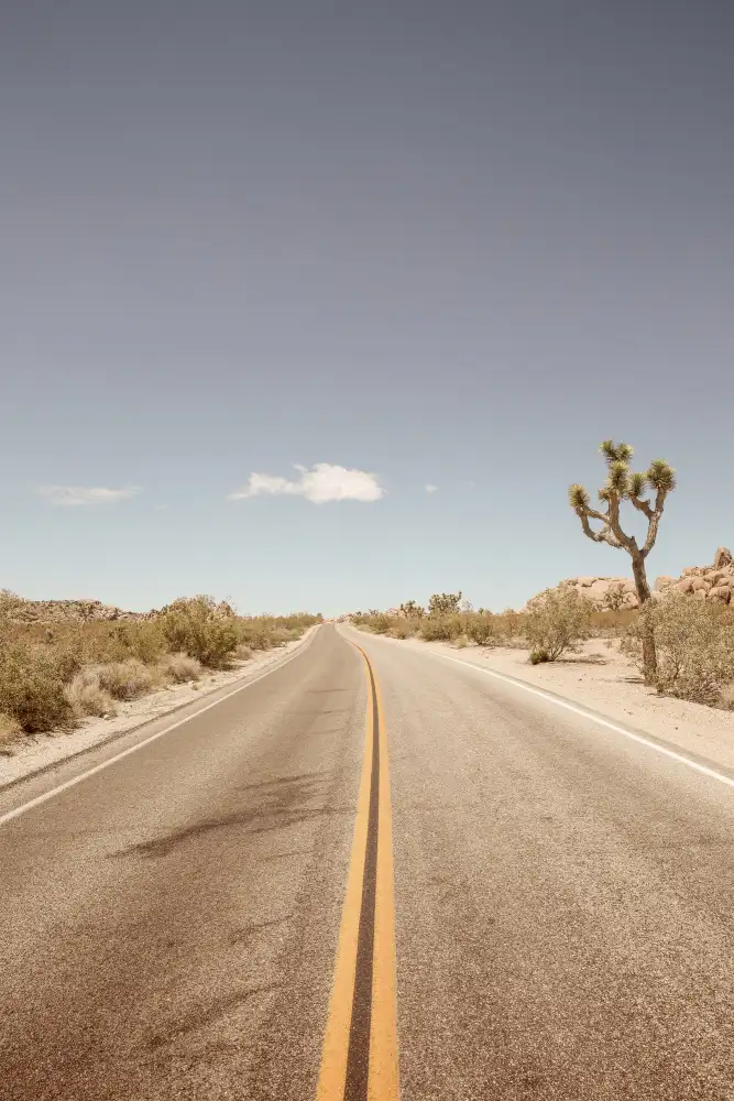 Clint, by Shot: Route vers nulle part