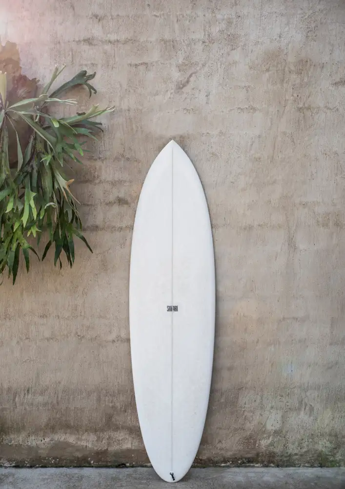 Clint, by Shot: Safari Twinfin