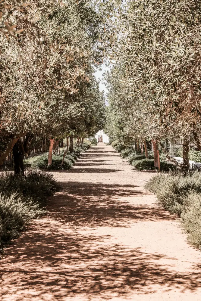 Clint, by Shot: Giardino segreto