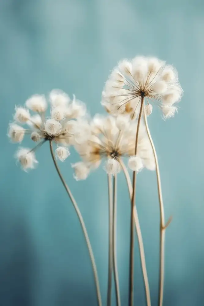 Treechild: Fiori soffici