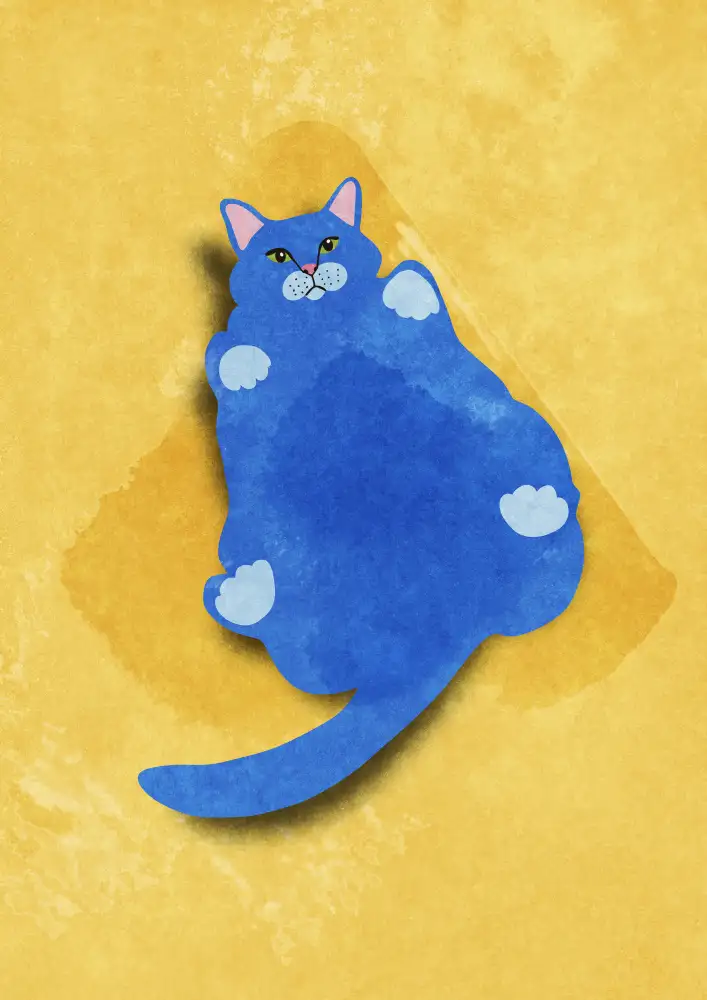 Oltmanns, Raissa: Fat Cat
