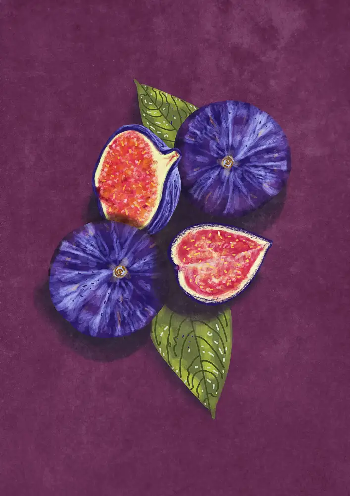 Oltmanns, Raissa: Figs Stil Life