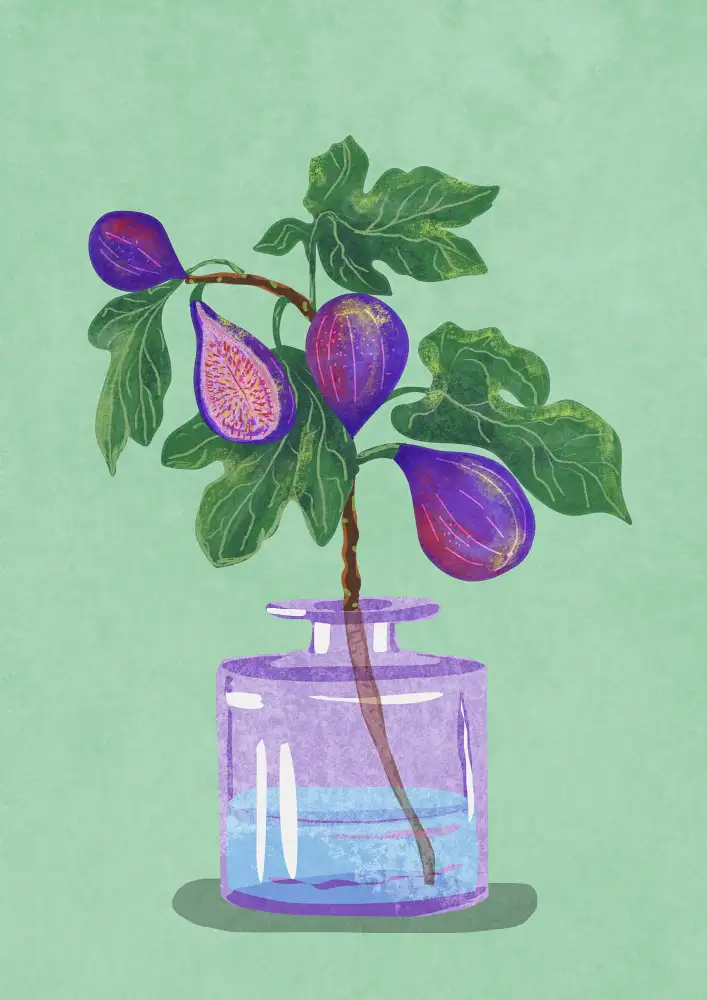 Oltmanns, Raissa: Figs Branch In Vase