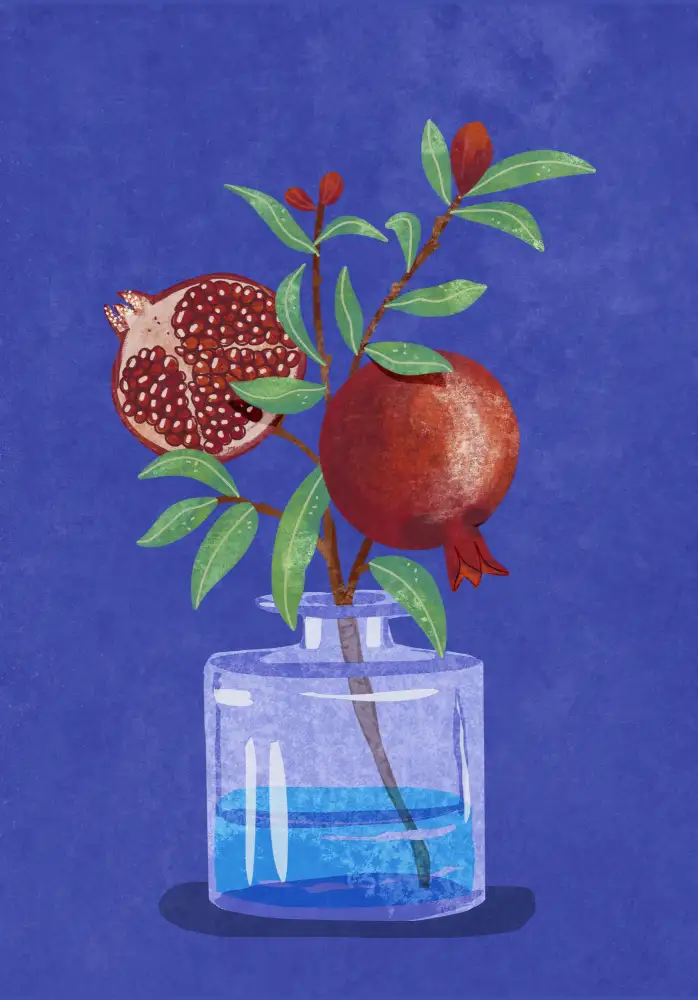 Oltmanns, Raissa: pomegranate in Vase
