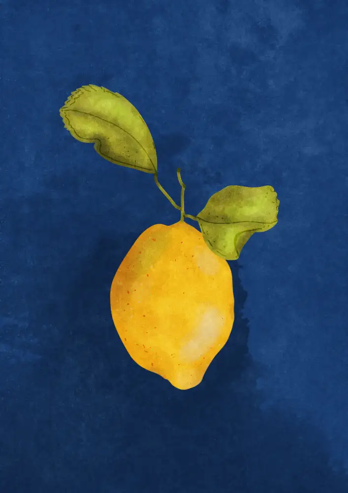 Oltmanns, Raissa: Just a little lemon