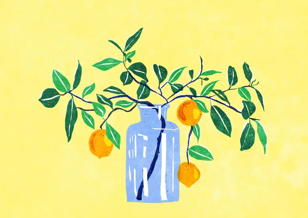 Oltmanns, Raissa: Orangetree