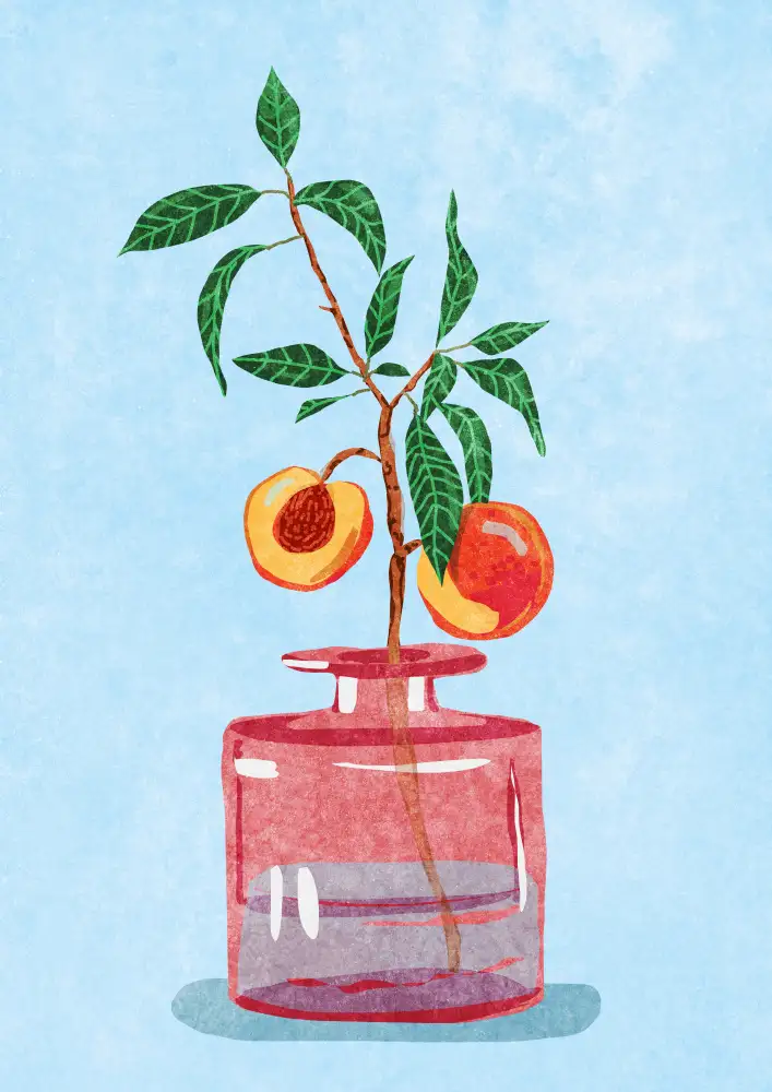 Oltmanns, Raissa: Peach Tree in Vase