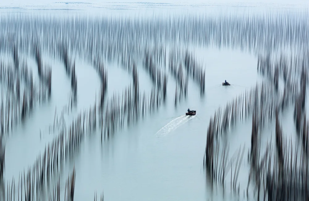 Jin, Jie: Fishery morning