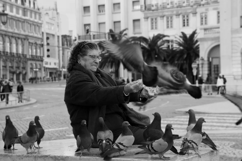 Alves, Fernando: The Friend Of The Doves