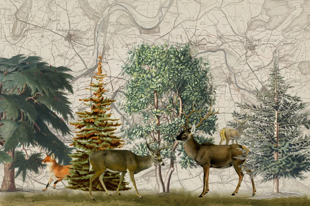 Haase, Andrea: Nordic Woods No1