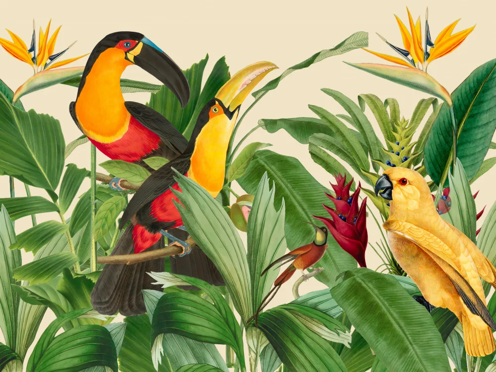 Haase, Andrea: Rain Forest Bird Garden
