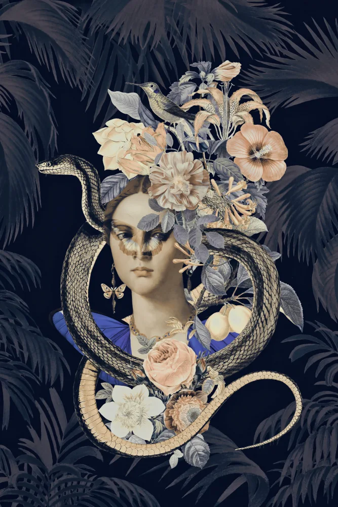 Haase, Andrea: Snake Princess 2