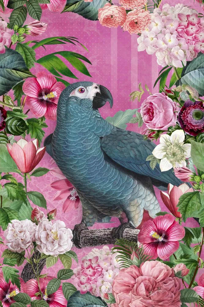 Haase, Andrea: Der Papageienparadiesgarten 2
