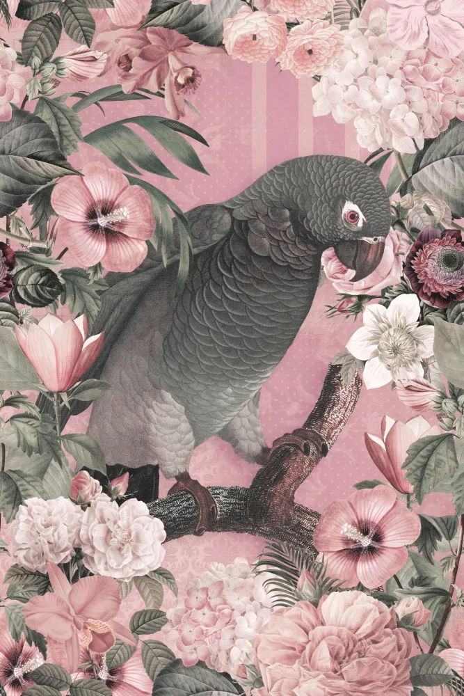 Haase, Andrea: I Pappagalli Paradise Garden 3 Rosa Pastello