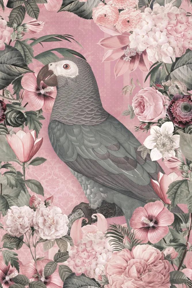 Haase, Andrea: The Parrots Paradise Garden Pastel Pink