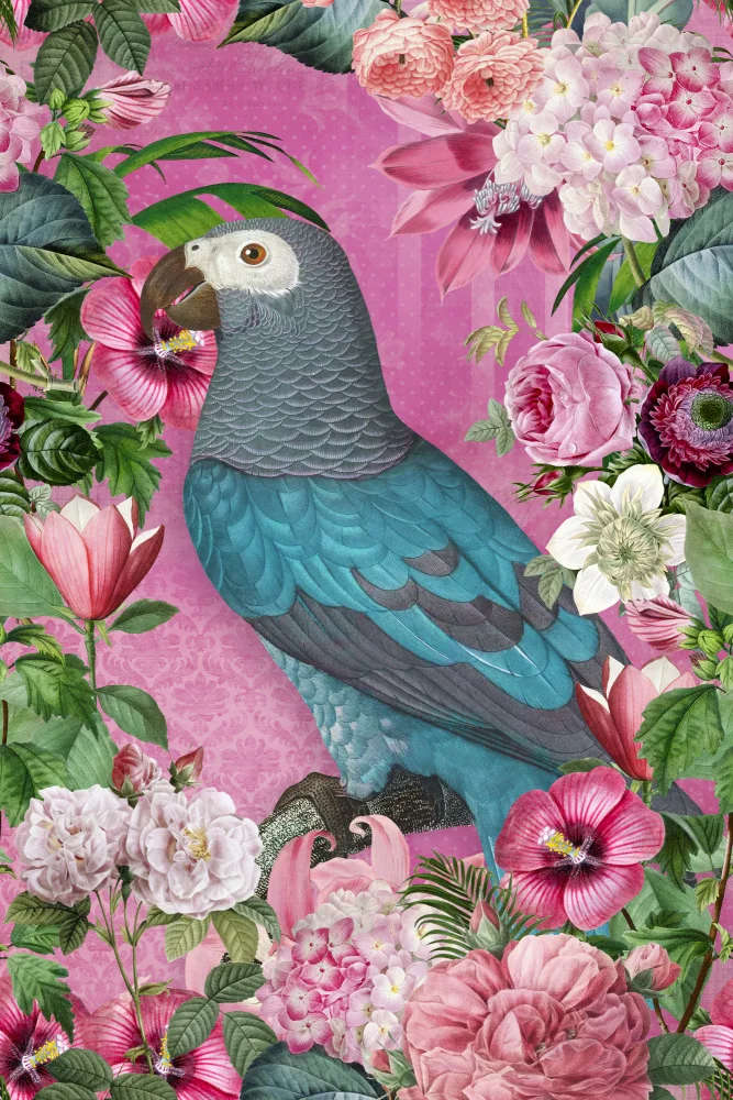 Haase, Andrea: The Parrots Paradise Garden