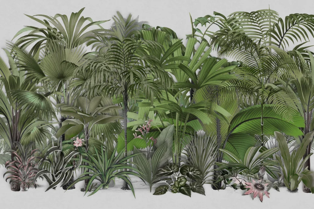 Haase, Andrea: Exotische Tierwelt 003 1