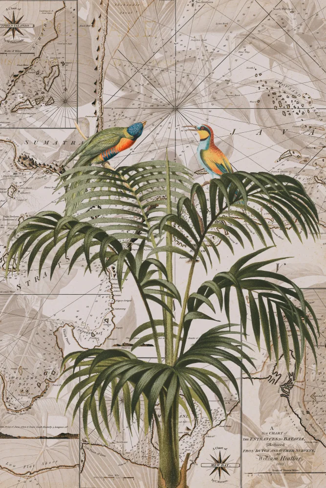 Haase, Andrea: Paraíso de la selva de Indonesia No3