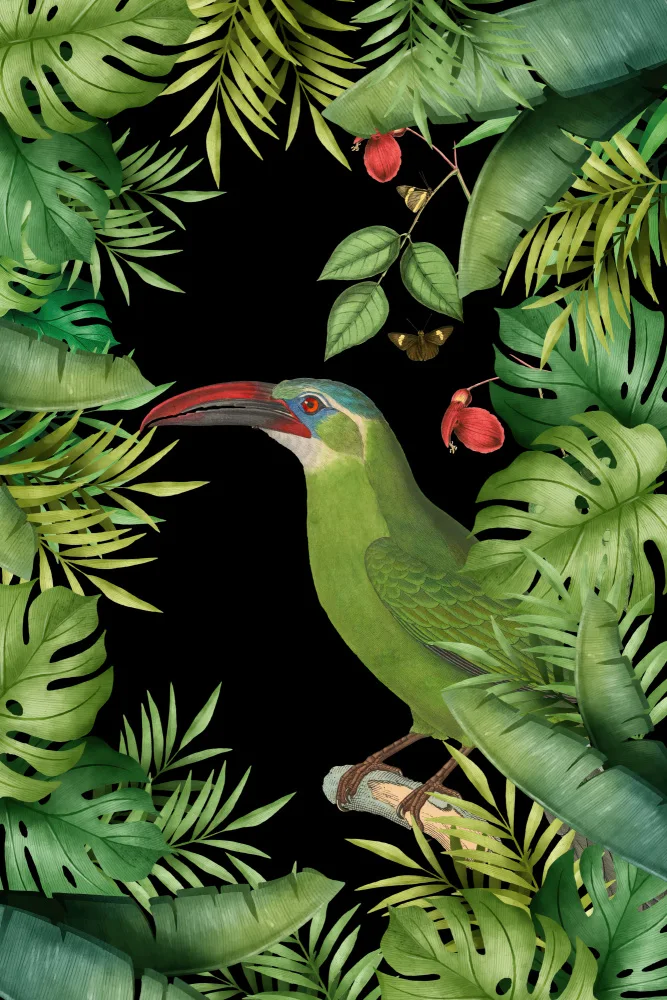 Haase, Andrea: Selva con tucán verde