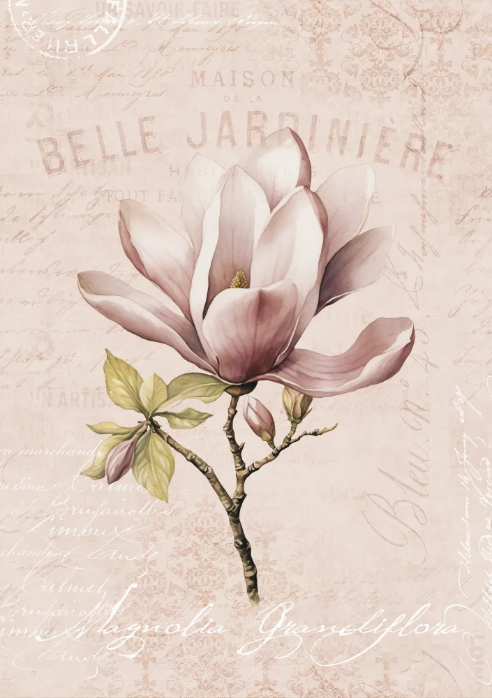 Haase, Andrea: Magnolia Rouge Nr. 2