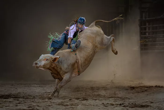 Jacobs, Lydia: Batalla con toro