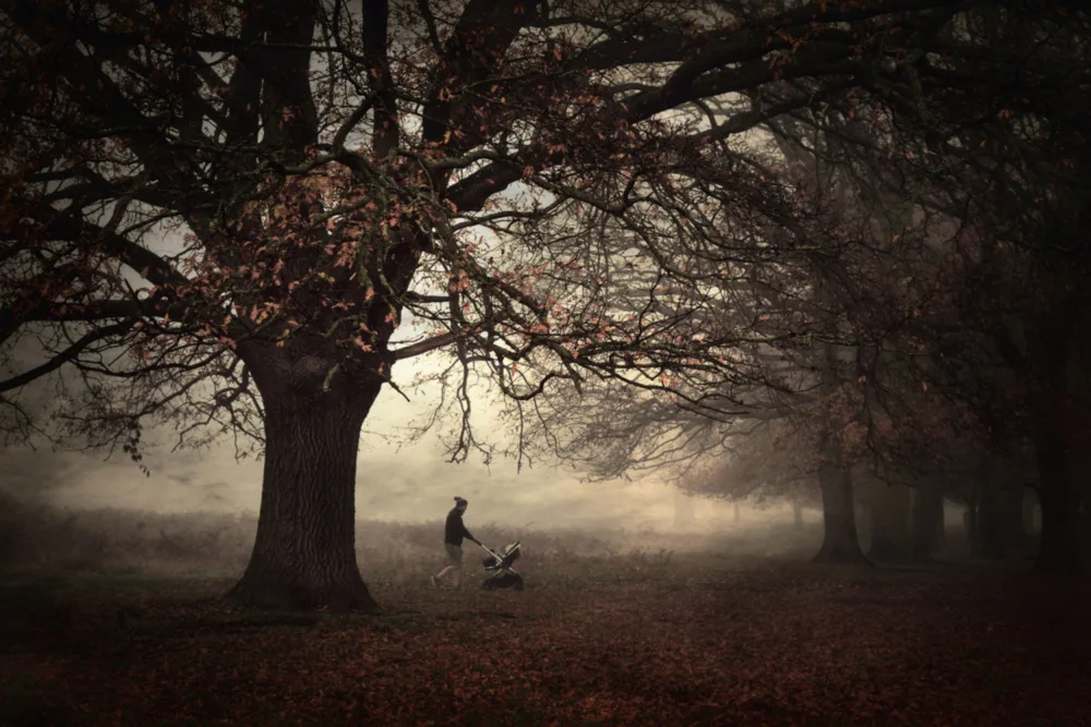 Fabrowski, Robert: Dark Side of the Woods...