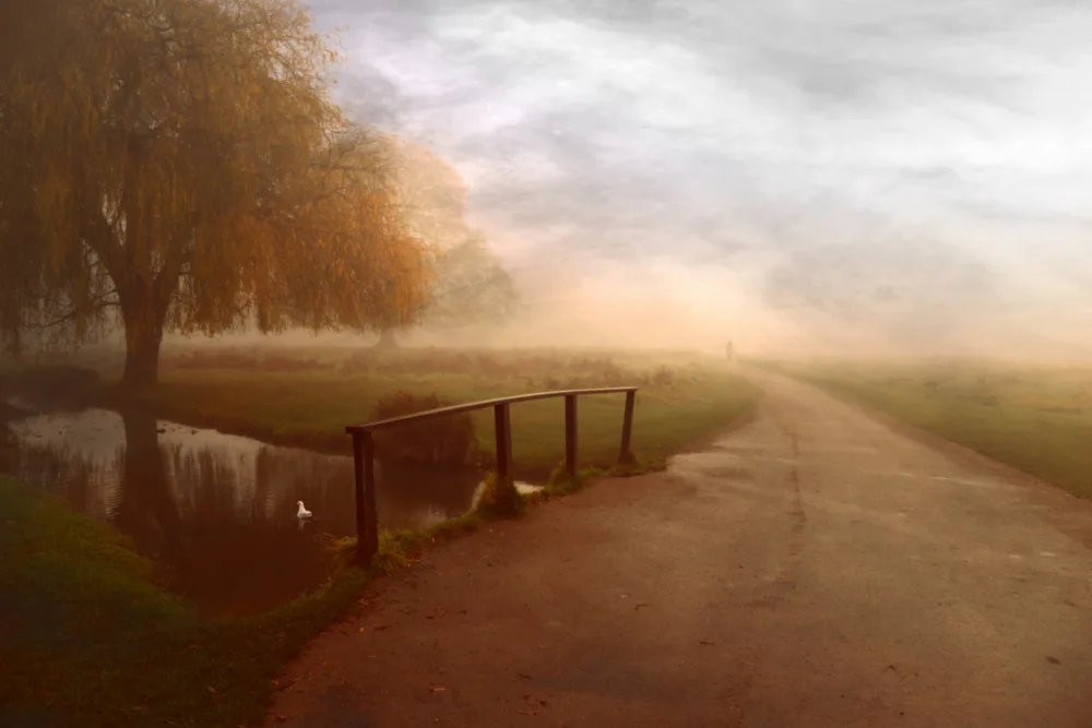 Fabrowski, Robert: Some Mornings...