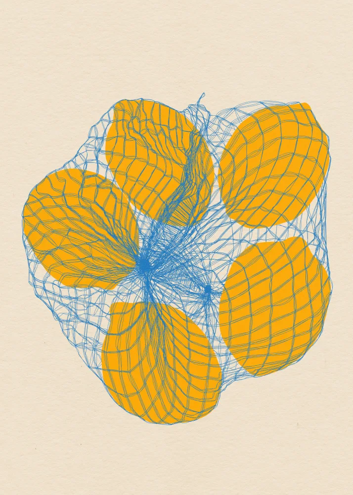 Feist, Rosi: Five Lemons In a Net Bag