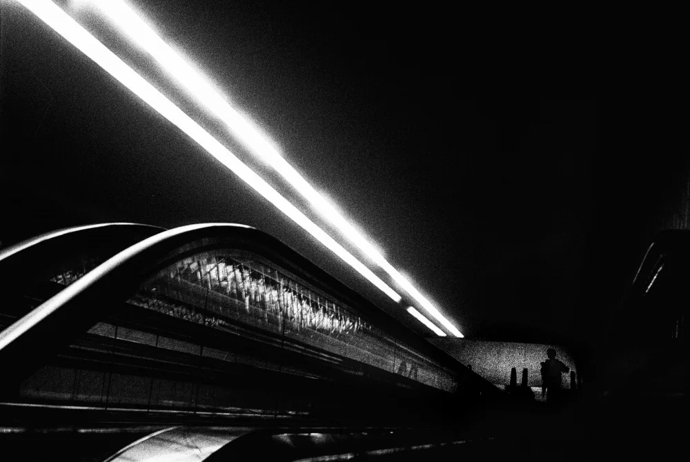Abrantes, Paulo: Lights Out