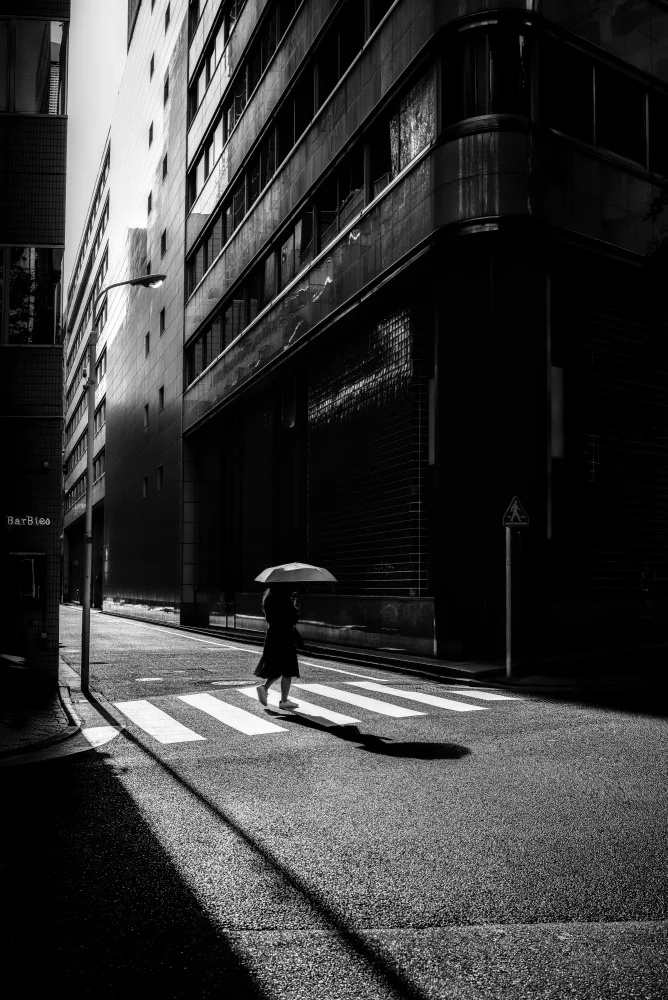 Fujii, Yuzo: The Spotlight