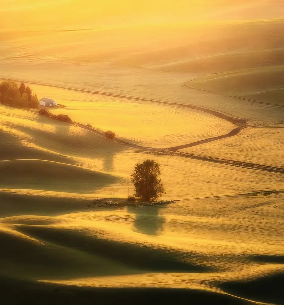NanZ: The View Of Palouse