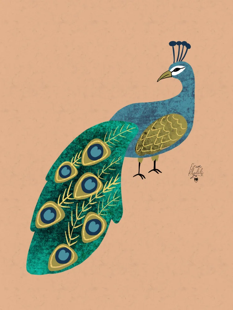 Khalili, Erum: Peacock Erum Khalili.png