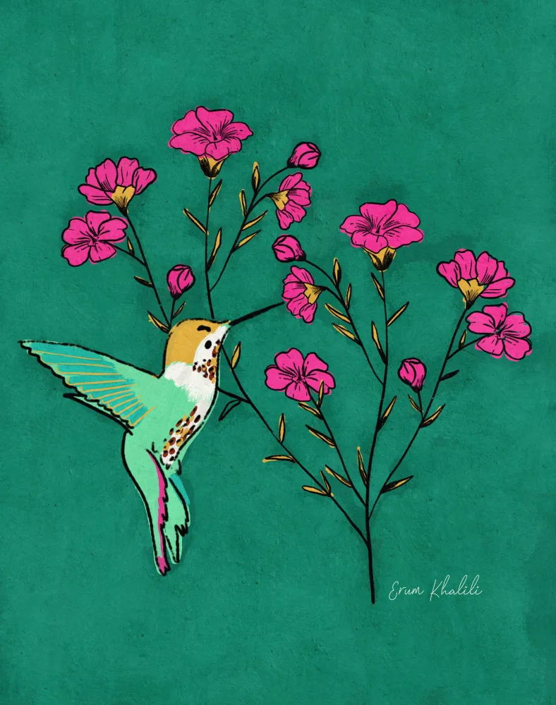 Khalili, Erum: Hummingbird   Erum Khalili.png