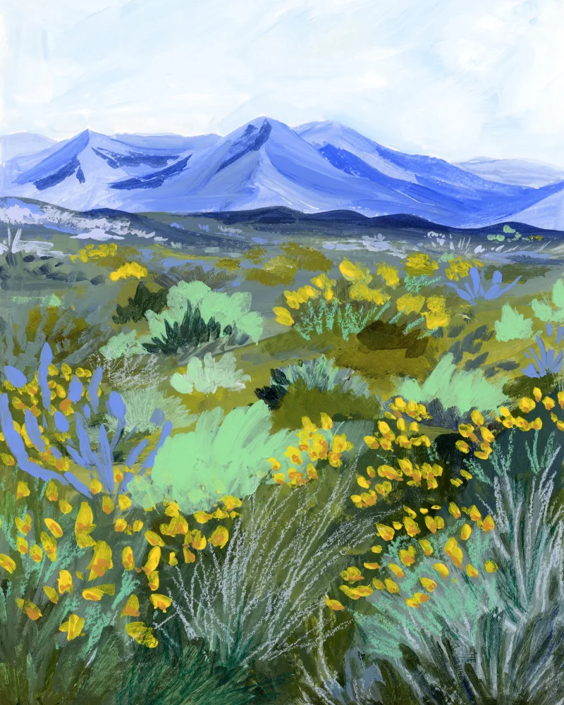 Gesek, Sarah: Blue Valley