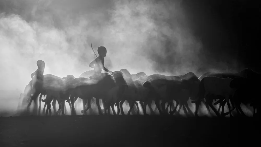 Zhang, Joan: Little Shepherds