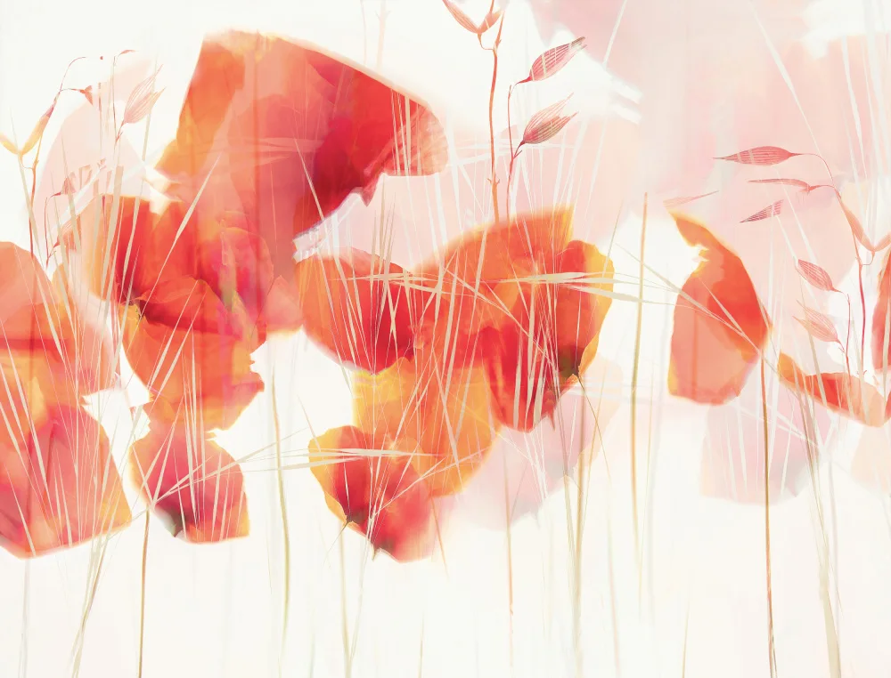 Talen, Nel: Modern poppies