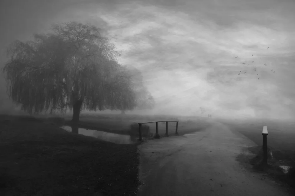 Fabrowski, Robert: Some Moody Mornings...
