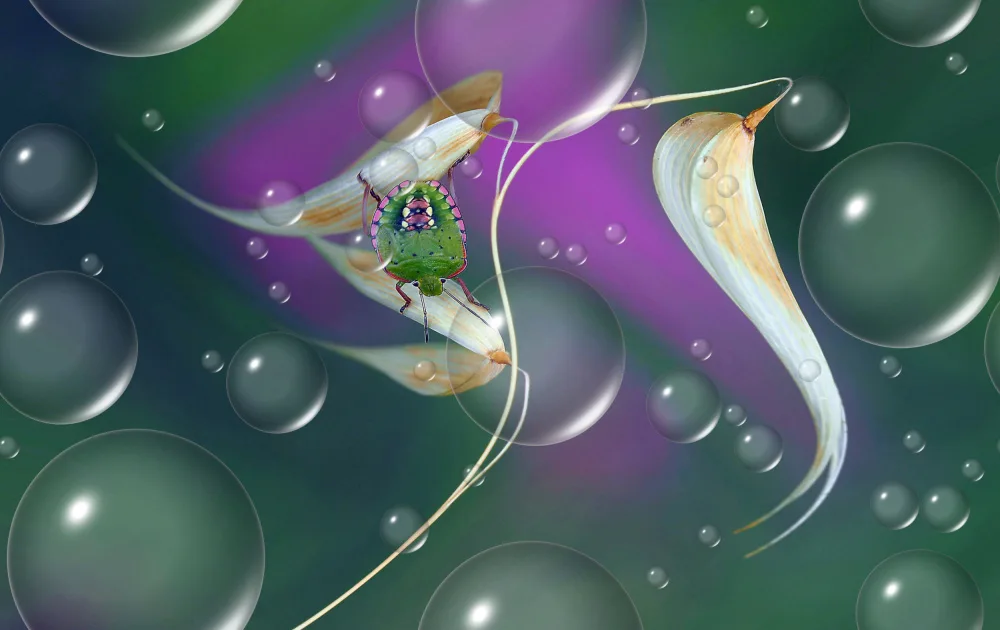 Dufour, Thierry: Journey into celestial splendors...