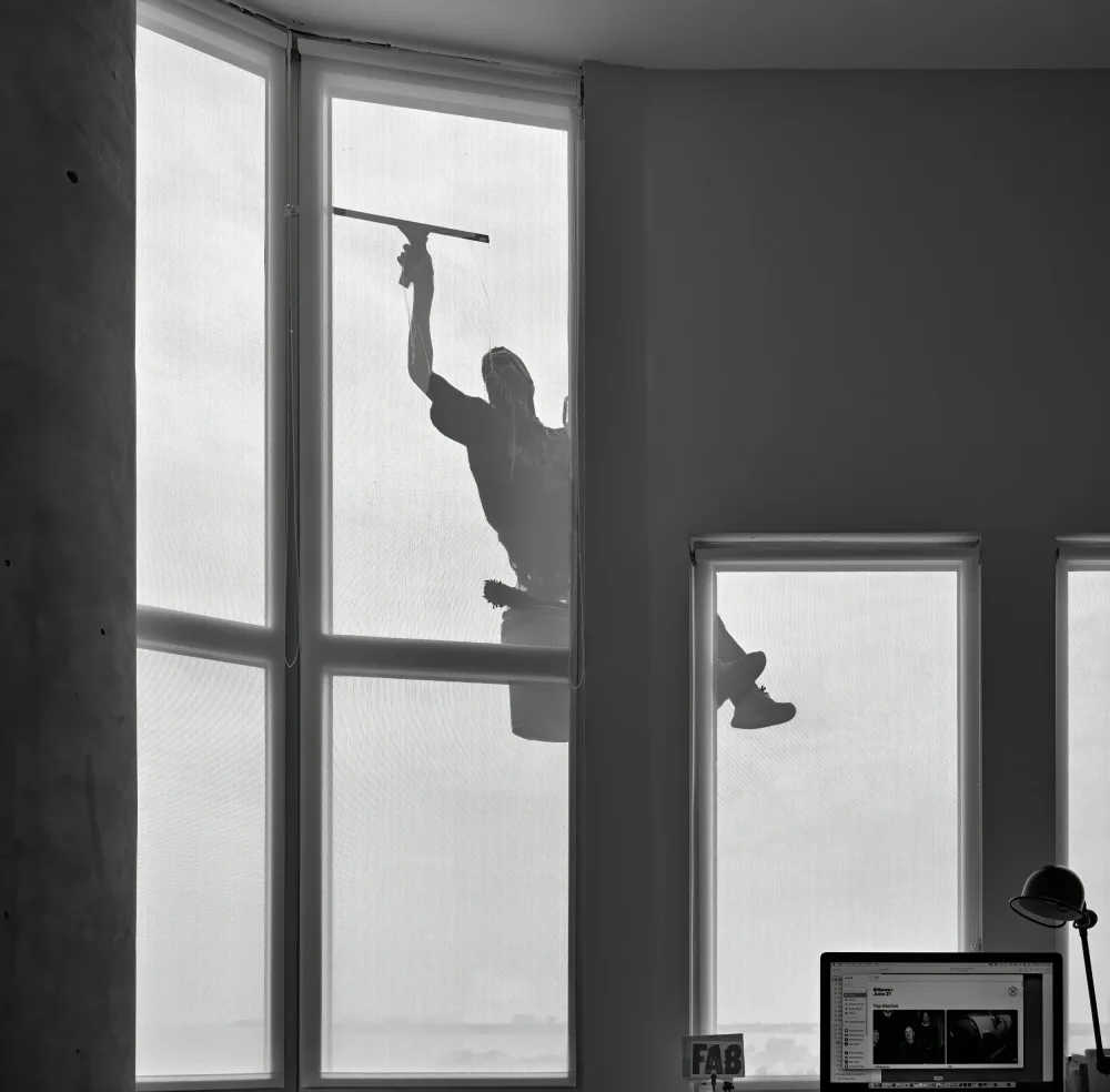Lyons, Jane: Washing Windows