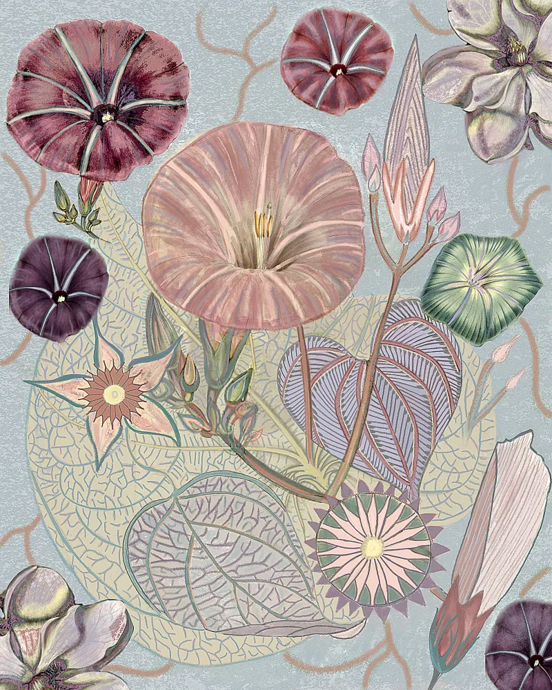 nicolo, giovanna: Vintage Wildflowers.png