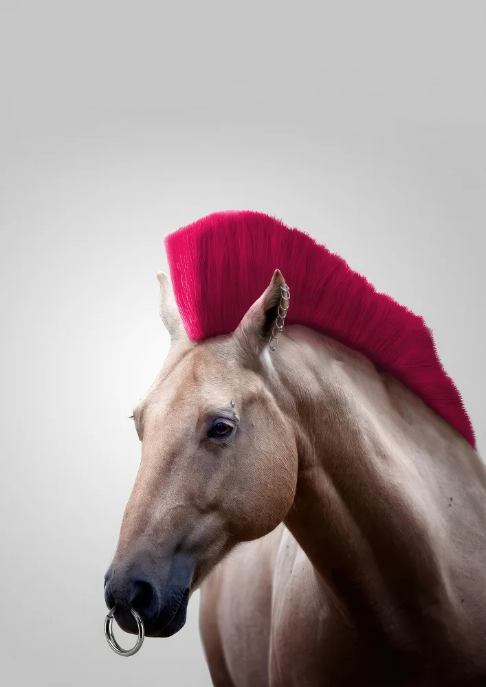 Pozdniakov, Artem: Caballo salvaje