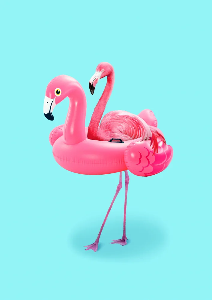 Pozdniakov, Artem: Flamingo on Resort
