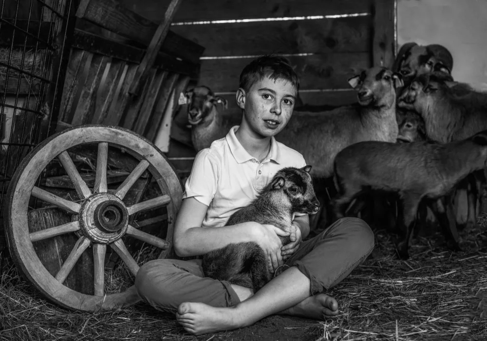Šimic, Joško: Shepherd II