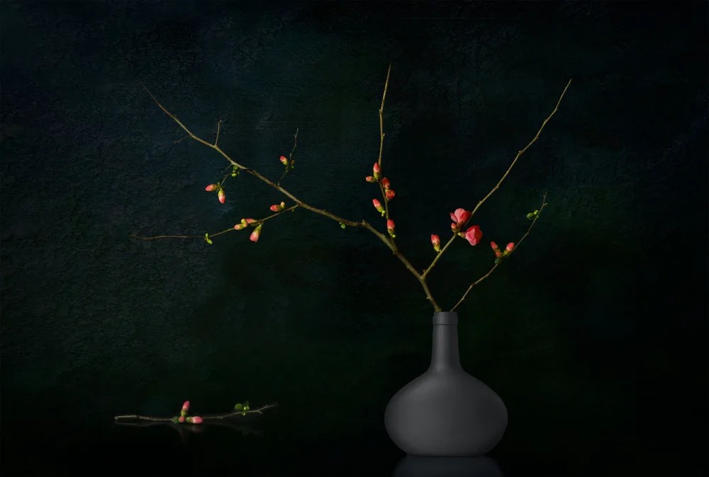 Palacios, Antonio Juan: Still Life 2303