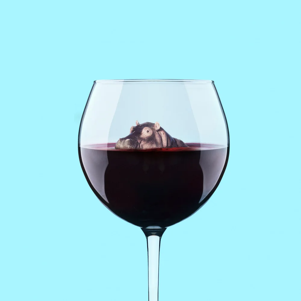 Pozdniakov, Artem: Immergersi nel vino