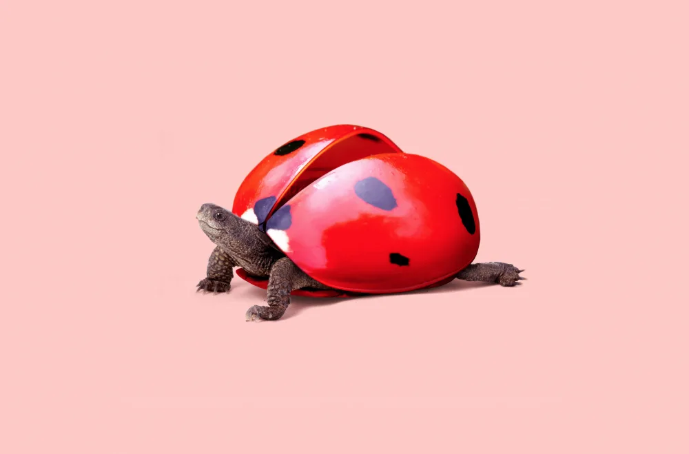 Pozdniakov, Artem: Tortuga Mariquita